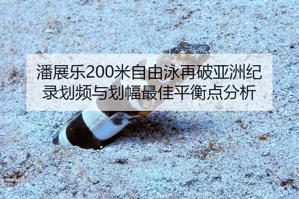 潘展乐200米自由泳再破亚洲纪录划频与划幅最佳平衡点分析